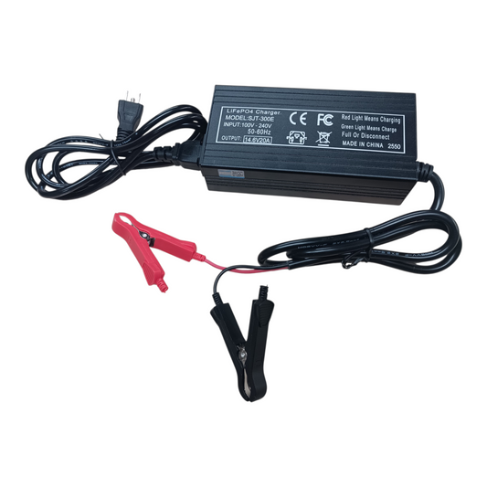 Lifepo4 lithium charger